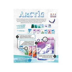 Arctic – Image 2