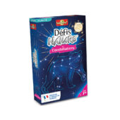 Défis Nature - Constellations